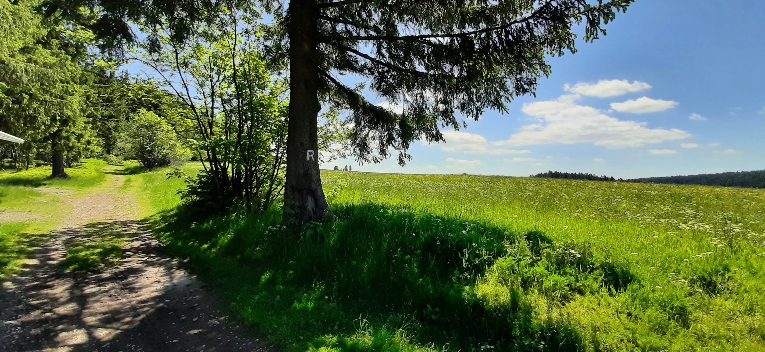 Impressionen Neustadt am Rennsteig